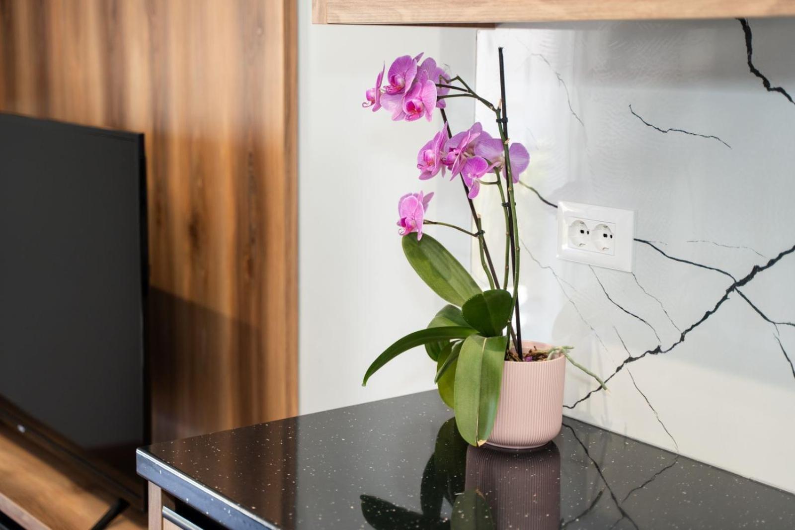Roel Apartments Sarandë 외부 사진